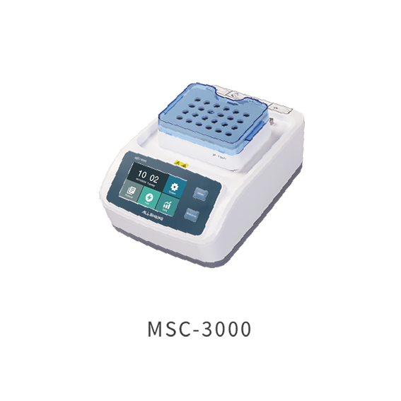 Methylation Conversion
