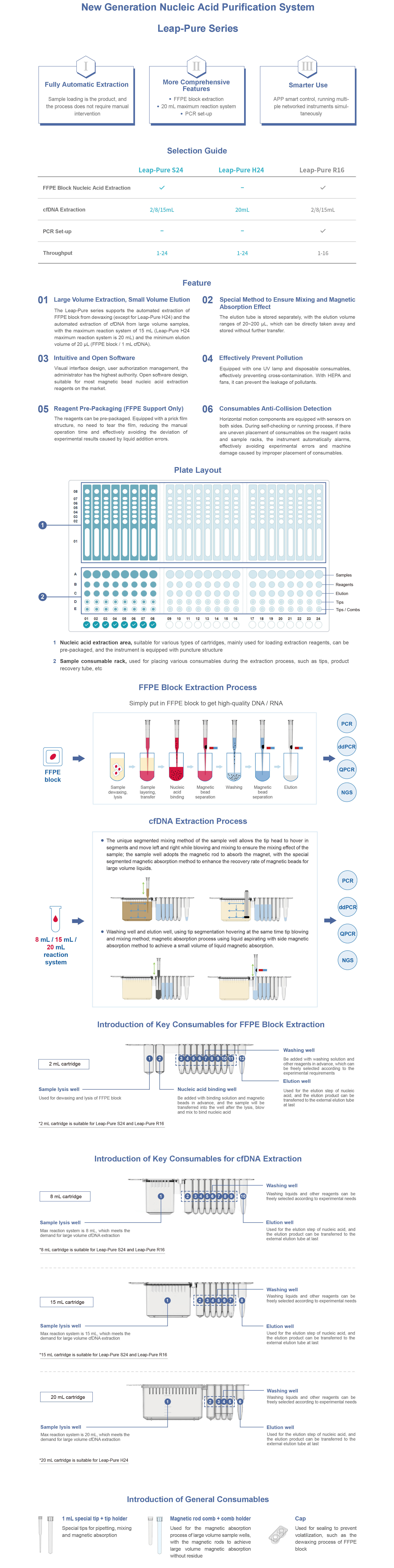 Leap-Pure S24 H24.jpg